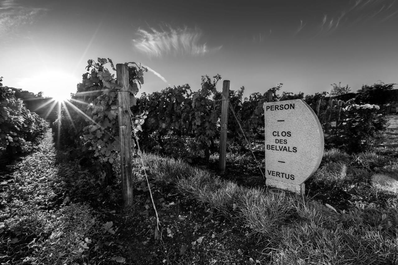 Le Clos Des Belvals Blancs-Coteaux Zewnętrze zdjęcie